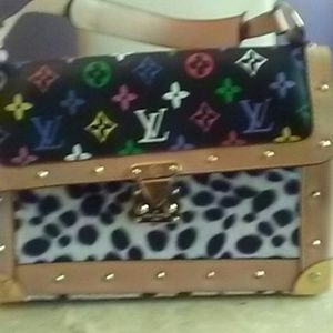Multi Colored Purse